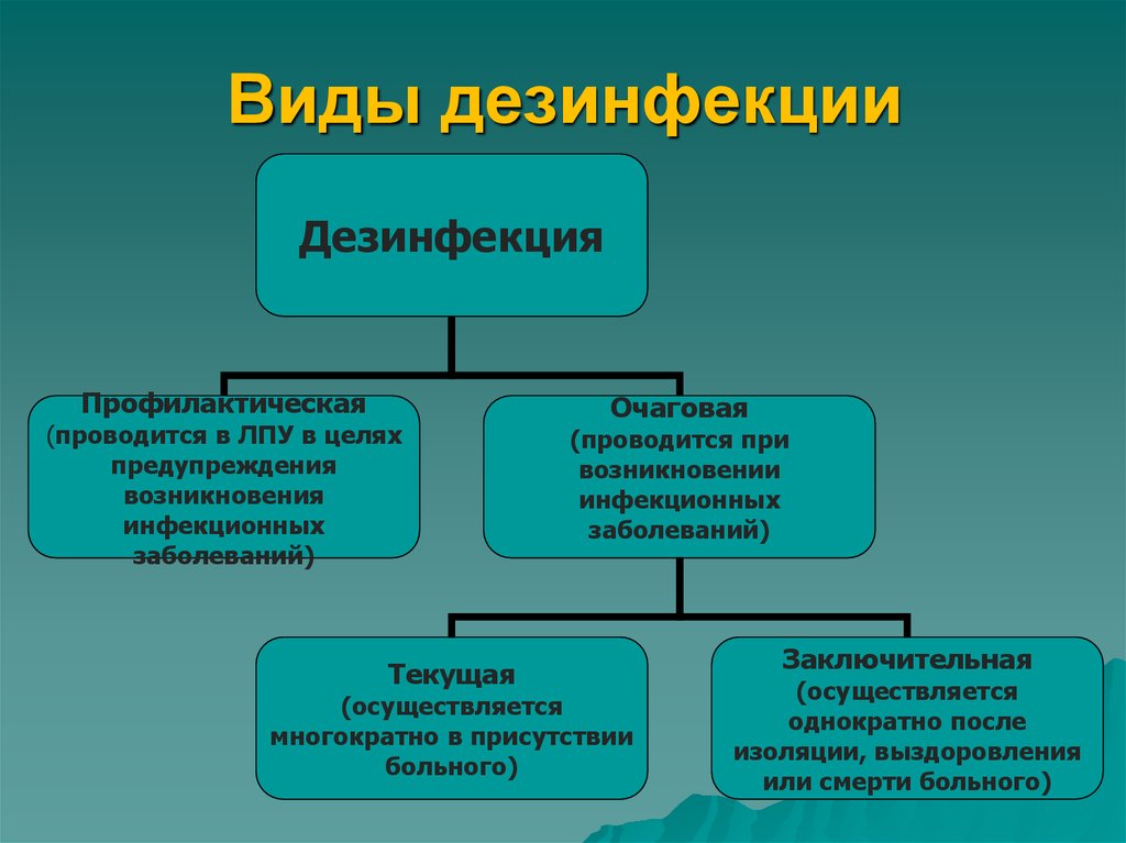 На фото описаны виды дезинфекции